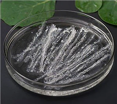 Tissue Culture Ms Medium Powder with Agar and Sugar