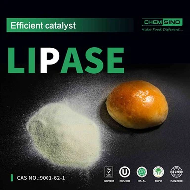 Experience Effortless Digestion With Lipase Enzyme Support CAS NO.:9001-62-1
