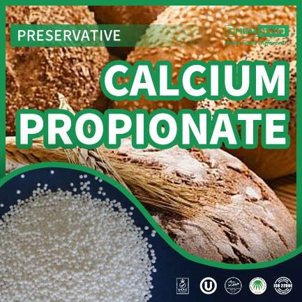 Bulk Calcium Propionate Powder For Bakery Shelf Life
