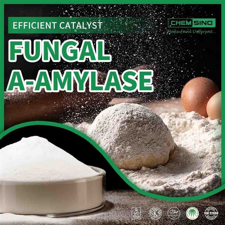 E1100 Fungal Alpha Amylase Enzyme In Bread Production