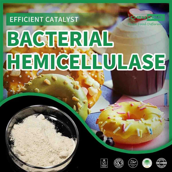 High-Quality Food Grade Hemicellulase Enzyme At Competitive Price