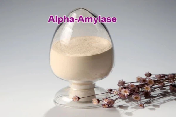 What Is Amylase And Its Functions in Baking - Blog - CHEMSINO Industry