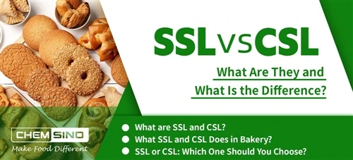 SSL vs CSL: What Are They and What Is the Difference?