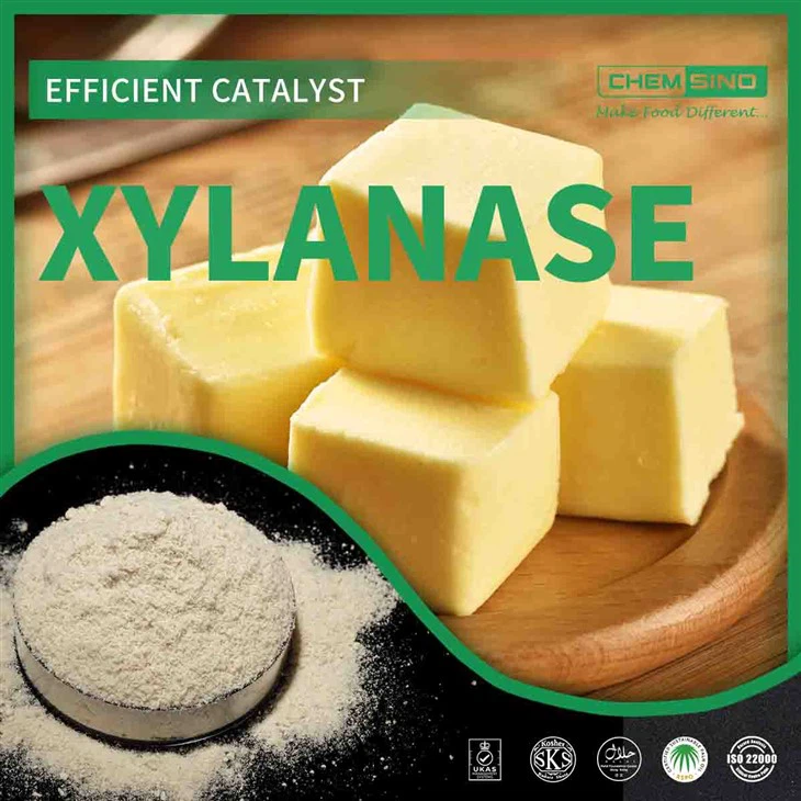 CAS 9025-57-4: The Path To Efficiency - Unlock Xylanase's Power!