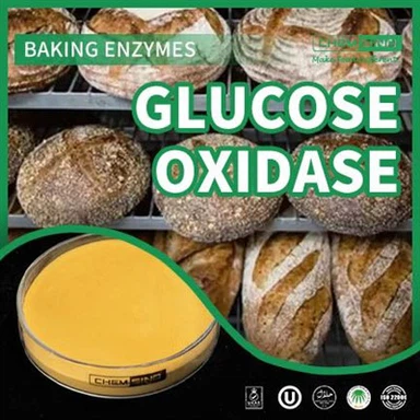 Deliver Freshness With Glucose Oxidase Technology! CAS NO.: 9001-37-18
