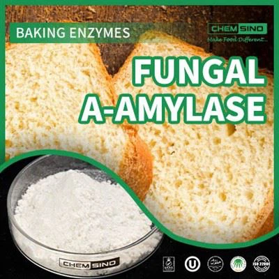 Fungal Amylase E1100 Enzyme For Bread