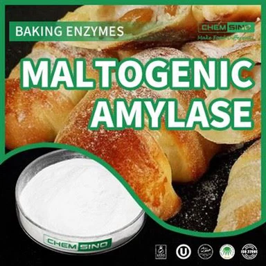 The Sweet Science: Master Culinary Artistry With Maltogenic Amylase.CAS NO. 9000-92-4