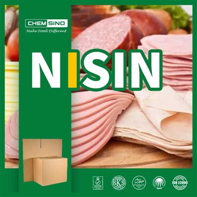 Nisin E234 Natural Preservative For Meat And Dairy